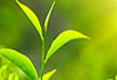 /nongyewenhuayichan.html